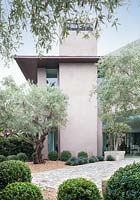 View of the side of the house with gravel and cobbled area containing topary box and mature olive trees.