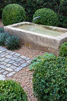 Scott Shraders, USA. View of gravel garden containing topary box balls and Agave with a water feature.