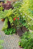 Aerial view of small town garden with plants chosen for their distinctive foliage including tree fern, bamboo, acer, bergenia, trachycarpus, rhus, Solanum laxum 'Album'and actinidia. Wooden bench. Block paving.