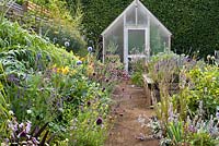 A path leads to a greenhouse through a double border planted with late summer flowering perennials including Linaria purpurea, Echinops 'Blue Globe', Allium sphaerocephalon, Salvia, daylily, Sedum, Heuchera, Stachys byzantina, Miscanthus 'Septemberrot'. Raised bed with herbs. The Coach House.
