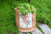 An unusual handcrafted pot filled with sempervivum succulents surrounded by Mind-your-own-business.