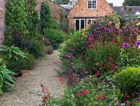 A gravel path between a double herbaceous border planted with Salvia greggii 'Royal Bumble', Echinacea purpurea 'Magus', Helenium 'Sahin's Early Flowerer', Dahlia 'David Howard' and 'Lilac Time', Aster frikartii with Helianthus 'Claret' and 'Ruby Sunset'.