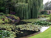 A large pool with waterlilies and rocky waterfall. The far border is planted with Hosta, Acer and Rodgersia with a large weeping willow behind - Salix babylonica.
