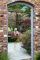 Doorway in brick wall frames view of small, paved courtyard garden. Sitting on bench, Harry the beagle.
