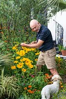 Christopher Hutchings with his terrier, Obi, dead-heading in his small town garden.