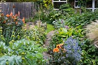 A colourful front garden with Melianthus major, Dahlia 'David Howard', Eryngium 'Jos Eijking', Phlomis russeliana, digitalis ferruginea and hostas.