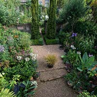 Tiny town garden, measuring just 12m x 6m, with two distinct areas. First, a courtyard edged in beds packed with unusual and exotic plants. Next, beyond two columnar yews, a formal box parterre filled with herbaceous perennials.