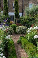 In 12m x 6m town garden, formal parterre with box and variegated holly standards, and box edged beds of Phlox paniculata 'David', Aconitum 'Spark's Variety' and red or pink persicarias.