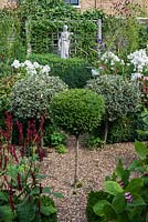 In 12m x 6m town garden, formal parterre with box and variegated holly standards, and box edged beds of Phlox paniculata 'David', Aconitum 'Spark's Variety', red Persicaria amplexicaulis 'Firetail and pink berried Triosteum erythrocarpum.