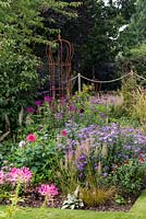 A purple and pink late summer border planted with Aster frikartii Monch, Verbena bonariensis, Calamagrostis grass, Cleome Violet Queen and Dahlia Hillcrest Royal.