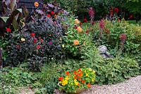 A hot late summer border planted with Dahlias including Bishop of Llandaff, Bishops Childrena and Grenadier with Lobelia tupa, Canna and dish planted with Nasturtiums.