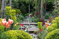 Pergola, made from chestnut poles, spans brick path edged in box balls, Euphorbia characias subsp. wulfenii, geums, Cerinthe major 'Purpurascens' and tulips rising above a froth of forget-me-nots. A small fountain plays in the centre of the pergola.