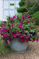 An anuual container planted with colouful petunias, calibrachoa and verbena.