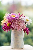 Milk autumn jug of Chrysanthemums pink 'Sweetheart', 'Royal Sport' and 'Bretforton Road', white 'Poesie'.