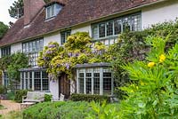 Wisteria sinensis trained on wall of Art's and Craft's house designed by Baillie Scott