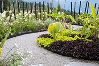 White curving gravel path and edged beds with Alocasia macrorrhiza - Elephant's Ear plant Ipomoea batatas - Ornamental sweet potato vine Musa - Banana Cleome hassleriana 'Helen Campbell' Pennisetum villosum and  Beta vulgaris - Swiss chard backed by black painted poles Jardin des Cimes, Chamonix, July 