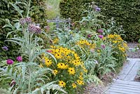 Border with Rudbeckia 'Marmalade' Cynara scolymus - Artichoke sheltered by hedges by boarded path