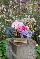 Cut garden flowers suitable for drying - hydrangeas, statice, gypsophila, sea holly and coneflowers, with dried seedheads of poppies and love-in-the-mist.