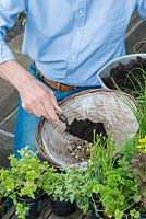 Planting a herb hanging basket step by step. Fill the bottom of the basket with gravel for drainage and then cover with potting compost.