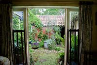 Secret courtyard garden from dining room french doors. Completely concelaed by buildings. Olea europaea, olive tree, in central pot. Violas to left, Salvia to right. Parthenocissus quinquefolia - virginia creeper climbing over roof.