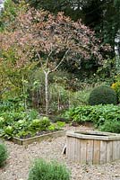 Productive garden with dipping pond at its centre and raised beds bisected by gravel paths, inset with herbs.