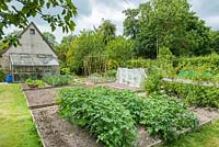 Vegetable garden in June with potatoes, broad beans and lettuces. Lean to greenhouse and cold frames. Raspberries and asparagus.