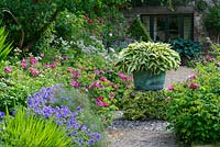 View along border with Geranium x magnificum, Rosa gallica var. officinalis, bronze fennel, astrantias and Crocosmia foliage. Variegated hosta in old copper on raised plinth covered with ivy.