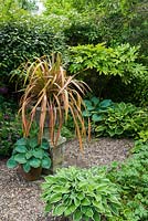 Hosta collection arranged in corner of garden around phormium in stone urn with background of shrubs including elaeagnus, fatsia and griselinia.