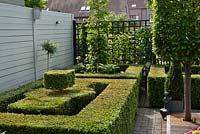 Box parterre and trained Carpinus betulus 'Frans Fontaine' in small contemporary garden. Family Fabry - Mathijs. Belgium