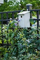 Trellis with nest house and climbing clematis. Family Fabry - Mathijs. Belgium