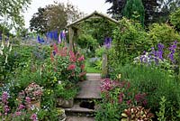 A cottage garden with path leading to rustic wooden arch, inbetween borders of phygelius, cosmos, penstemon, campanula, delphinium, foxglove, thalictrum, viola, valerian, lavender and astrantia. Fuchsia 'Tom West' in an old chimney pot, and Bibby the cat on the step.