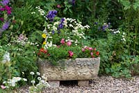 A stone trough planted with begonia, set amongst a border of feverfew, campanula and sweet William.