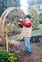 John Bent in his winter garden at 'Weeping Ash', Glazebury, Cheshire photographing witch hazel flowers. February. The garden is open for the National Garden Scheme