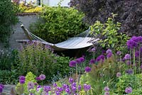 A hammock behind a border planted with Allium 'Purple Sensation', forget-me-not, bronze fennel, erysimum and a young apple tree.