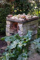 An insect hotel made from brick, with succulent echeveria growing on the roof.