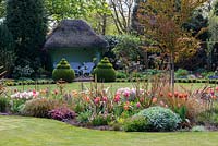 A spring garden with mixed border of tulips, Cercidiphyllum japonicum and ornamental grasses, in front of topiary box and a thatched summer house.