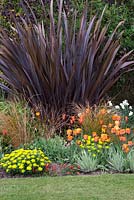 A hot spring border with tulips, Carex testacea, Euphorbia polychroma and Phormium tenax 'Purpureum'. Tulips 'Ballerina' and 'Cairo'.