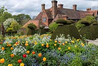 Tulipa 'Beauty of Apeldoorn', white sweet rocket and forget-me-nots in front of topiary yew peacocks. The stock beds, Great Dixter.