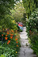 A spring border with orange Tulipa 'Ballerina' beside a stone path. In the distance, red 'Annie Shilder' and 'Dordogne', pink Tulipa 'Barcelona' and, finally, Tulipa 'Violet beauty' and 'Negrita'. Great Dixer.