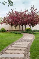 A long curved path leading to a small grove a crabapple trees in blossom.