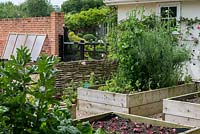 A vegetable and flower garden with raised beds made from wooden planks.