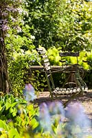 View through Corydalis elata 'Spinners' to garden chairs and pillar with Clematis montana 'Freda'. Herrenmühle Bleichheim