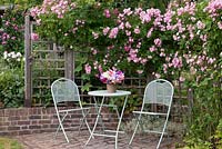 A patio seating area with fragrant Rosa 'Blush Rambler', rambling along a wooden trellis.