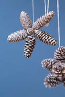 Silver Pine cone stars hanging against a blue wall