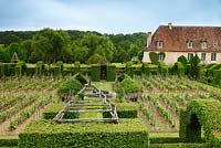 Vineyard surrounded by pruned hornbeam hedges resembling a cloister at Le Prieuré Notre-Dame d'Orsan