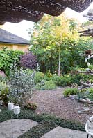 View from sitting area into garden showing grey foliage of Kalanchoe hildebrantill 'Silver Spoons', screening plants L to R Costus comosus, purple foliage of Euphorbia cotinifolia and Montanoa bipinnatifida Mexican Tree Daisy. Ground plants include gerberas