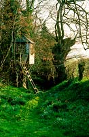Ladder leading to childs treehouse. Lesley Rosser's garden. Gloucestershire 