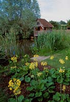 Wildlife pond with waterside planting of primula veris and bulrushes - scirpus with a wooden boathouse 