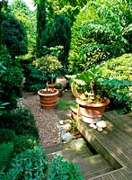 Gravel path leading through foliage borders to house. Pembridge Cottage, Twickenham in Spring