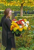 Girl carrying bunch of mixed Chrysanthemums.